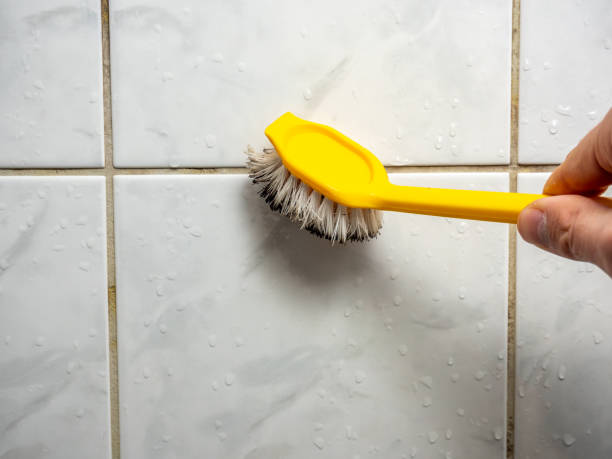 Best Mold Testing and Removal  in Zionsville, IN